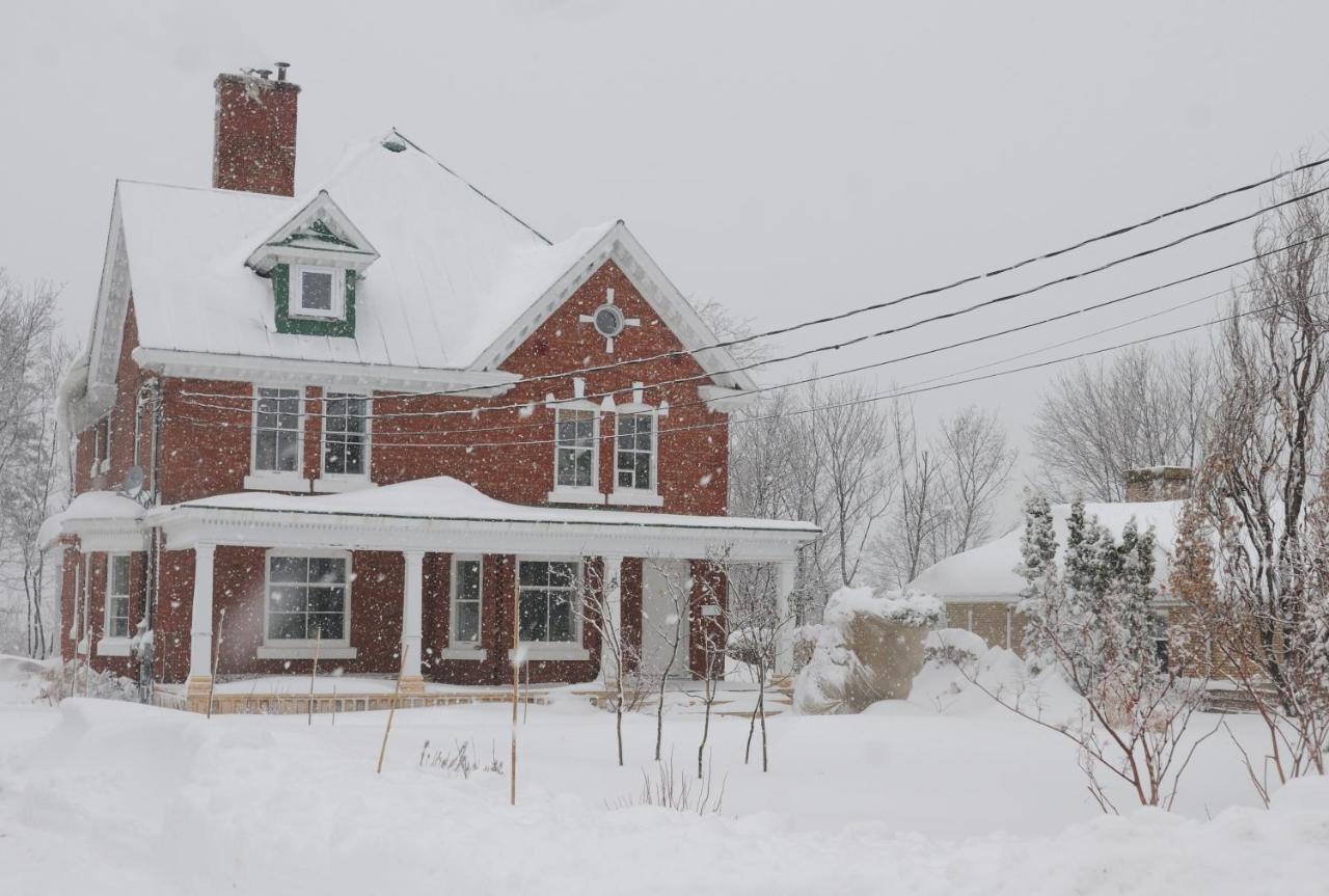Napier House Campbellton Exterior foto